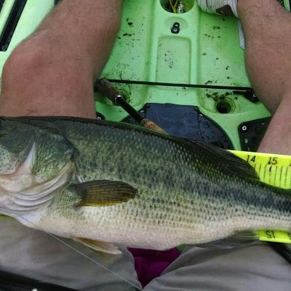 A photo of Brian Britton's catch