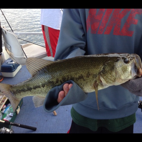 A photo of nwaterboy80's catch