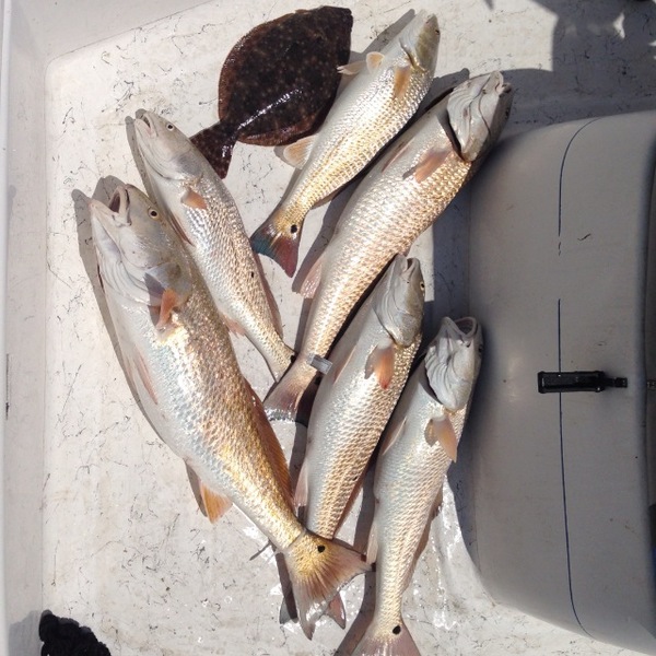 A photo of rzapata0930's catch
