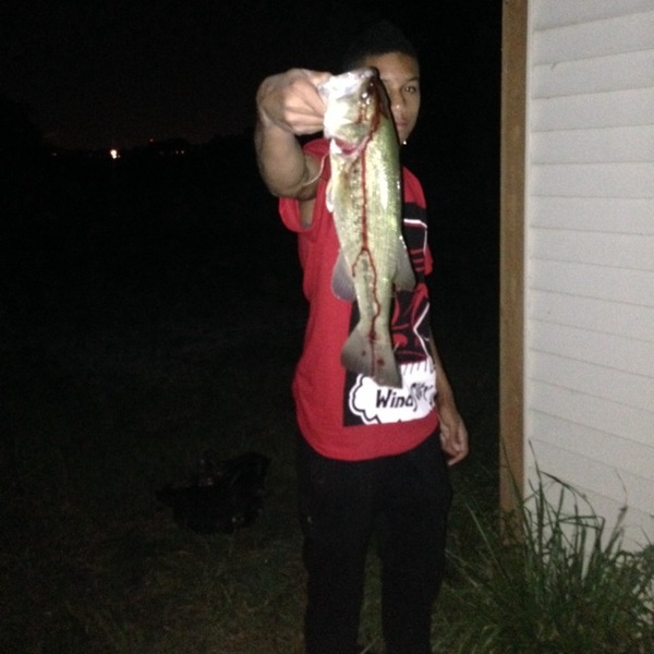 A photo of jtl_01's catch