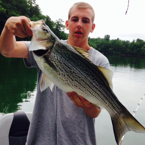 A photo of Gavin Shea's catch