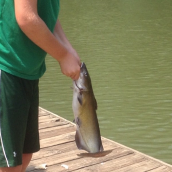 A photo of landon_mullaney's catch