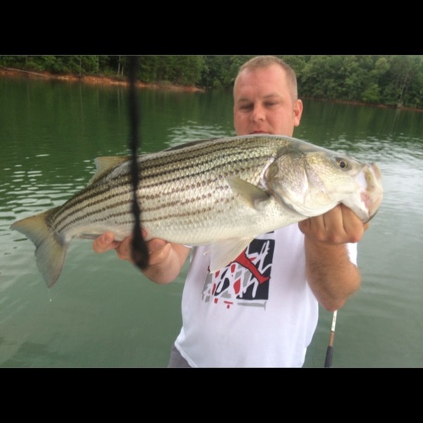A photo of Gavin Shea's catch
