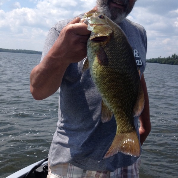 Caught a Smallmouth Bass on Pelican Lake using a 1 ounce gold and black
