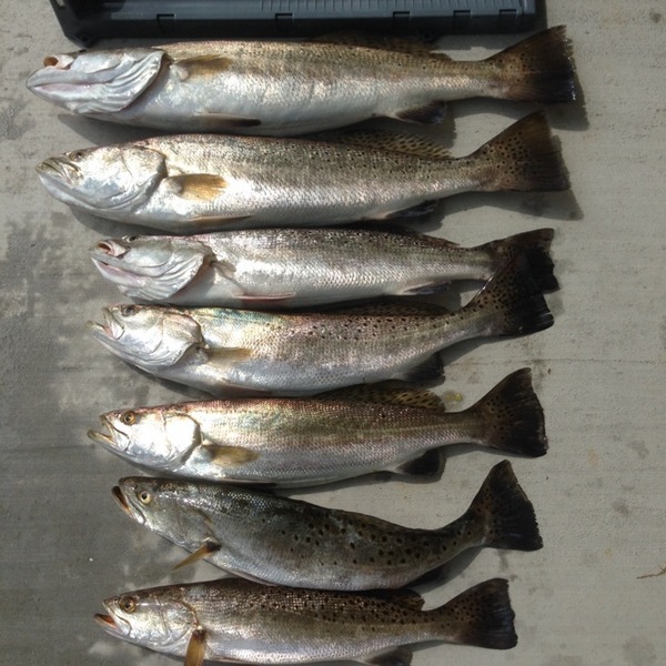 A photo of JB77's catch