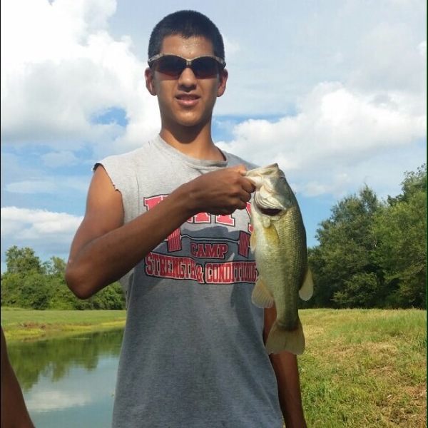 A photo of v0509113's catch