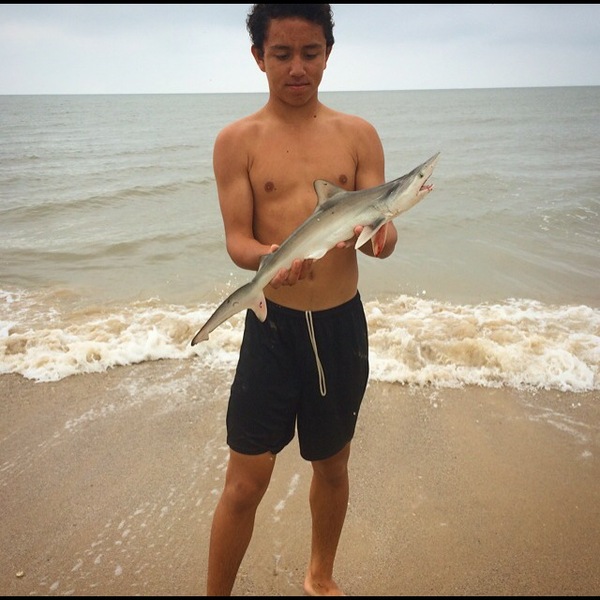A photo of anthonysandoval's catch