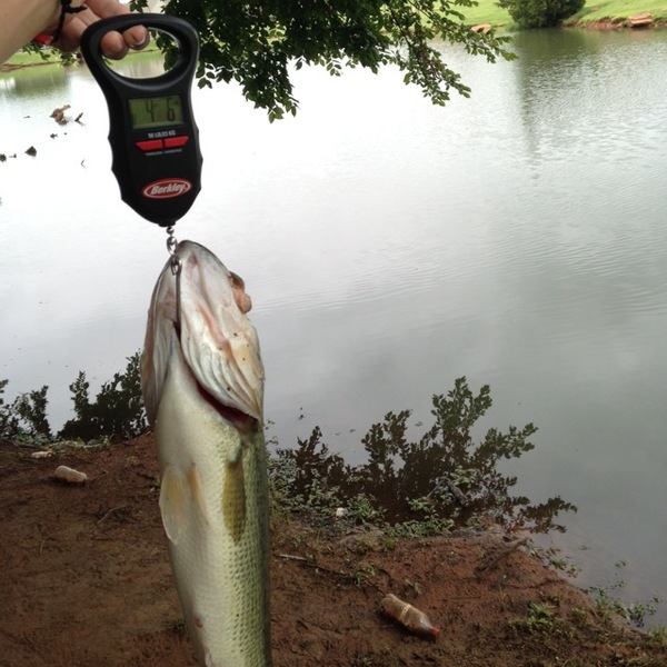 A photo of RippingLipz's catch