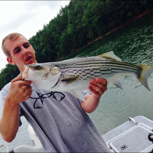 A photo of Gavin Shea's catch