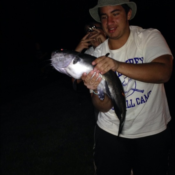 A photo of jakefromstatefarm's catch