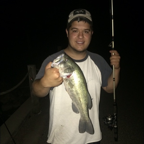 A photo of fishinfool23's catch