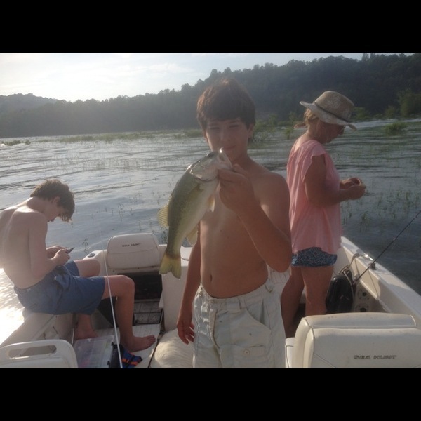 A photo of Gone_fishingg's catch