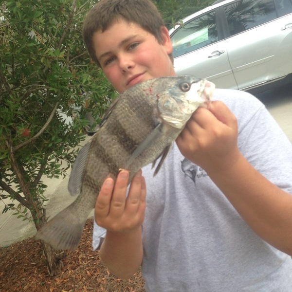 A photo of fishinSC's catch