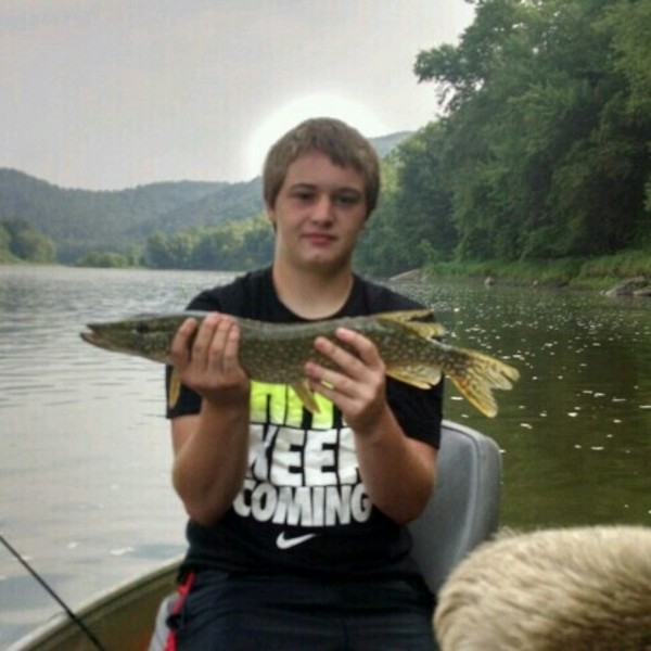 A photo of jackman88's catch