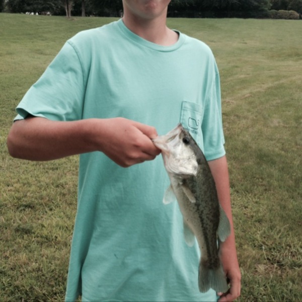 A photo of graysonhitchman's catch