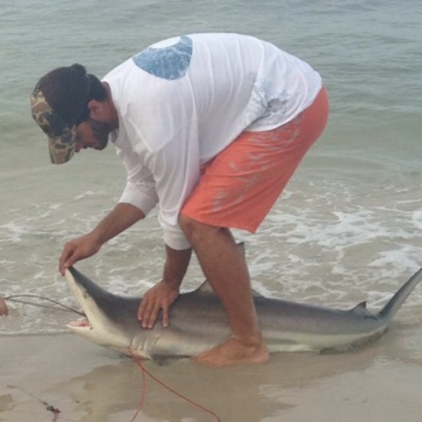 A photo of Chris Emmite's catch