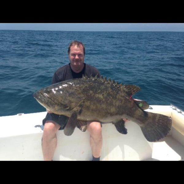 A photo of reece_cooper_bass's catch