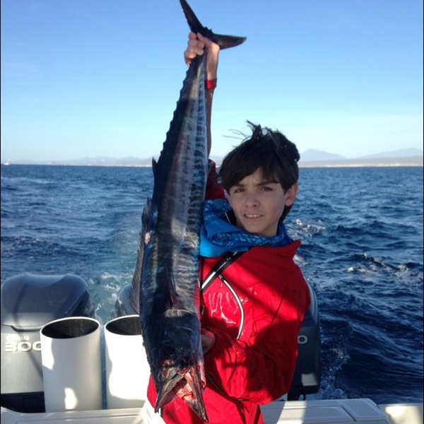 A photo of saltwaterfishingfrenzy's catch
