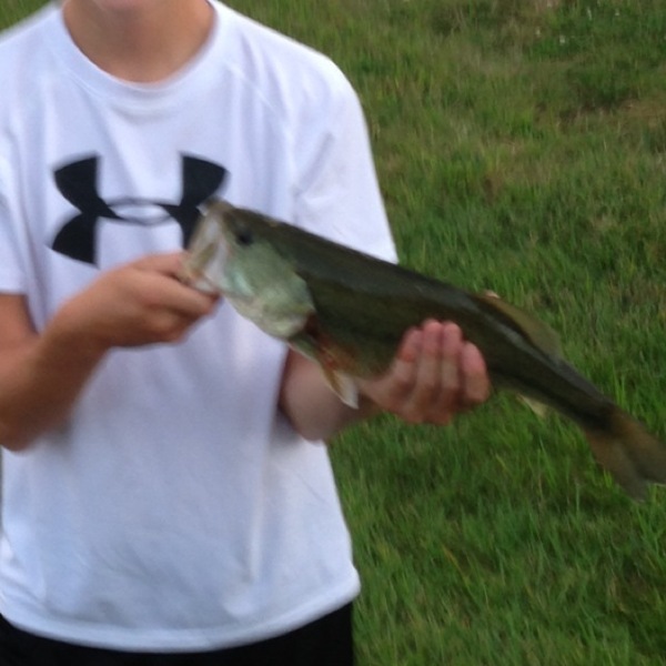 A photo of jack_mara_44's catch