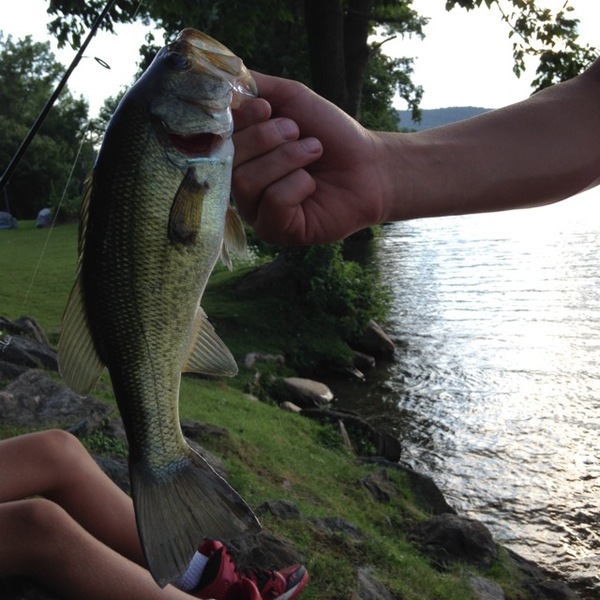 A photo of Maxrealtree's catch