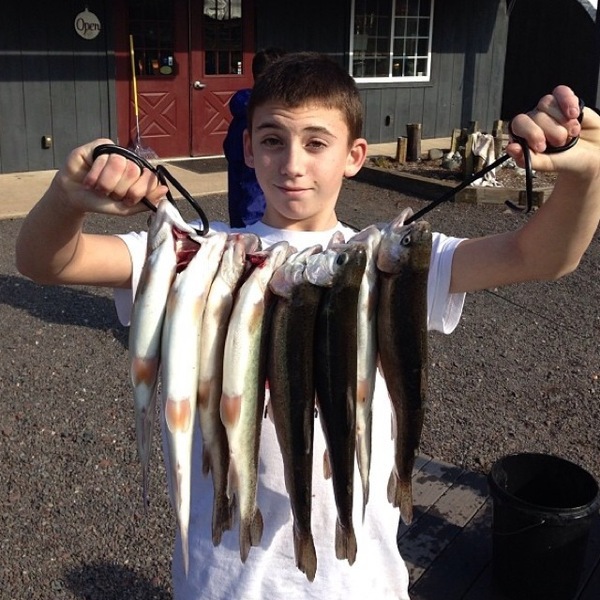 A photo of basslipper's catch
