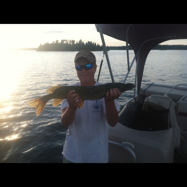 A photo of fishinSC's catch