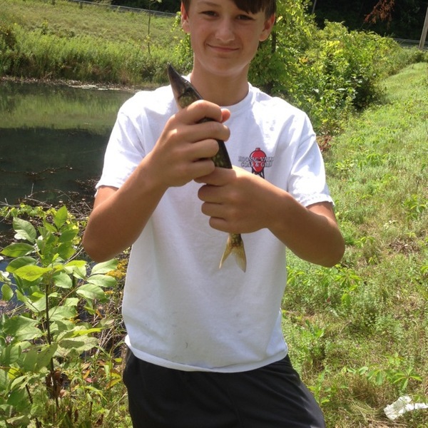 A photo of nwaterboy80's catch