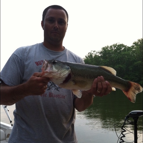 A photo of sbmcgee327's catch