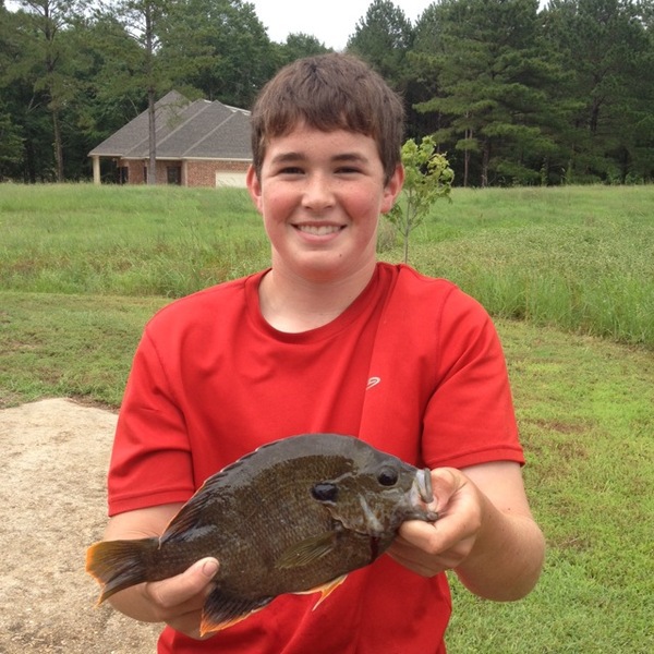 A photo of reeloutdoors's catch