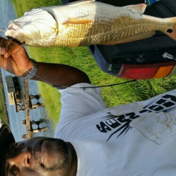A photo of MrByck's catch
