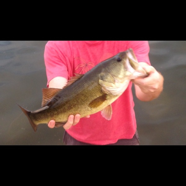A photo of J_Ho's catch