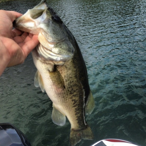 A photo of gotone21's catch