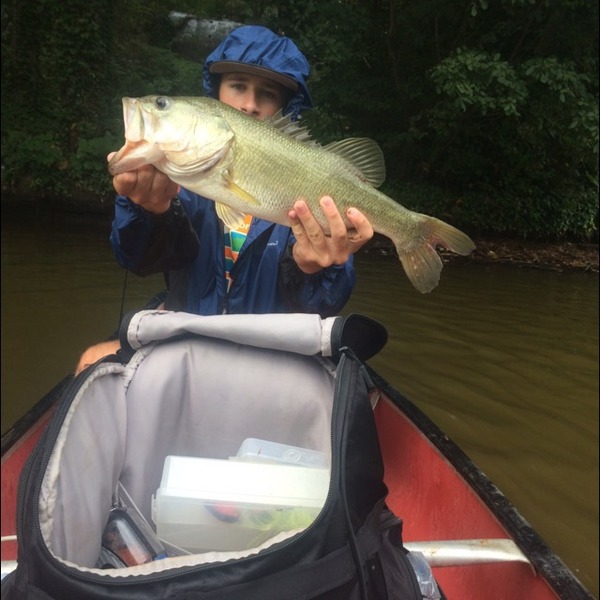 A photo of marshmadness's catch