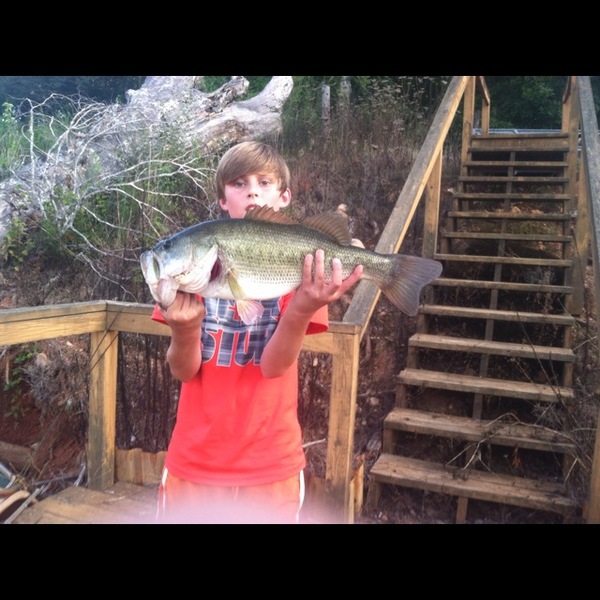 A photo of austinh_98's catch