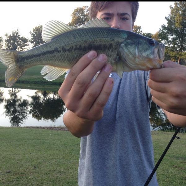 A photo of Gavin_and_Bolts's catch
