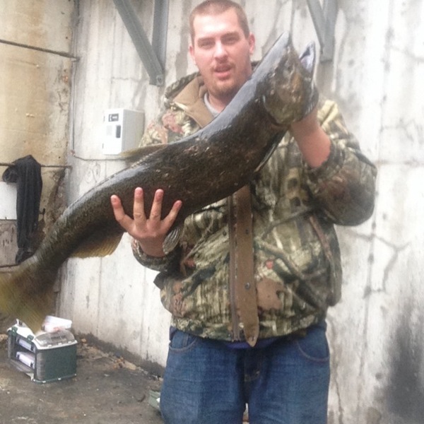 A photo of darmaly's catch