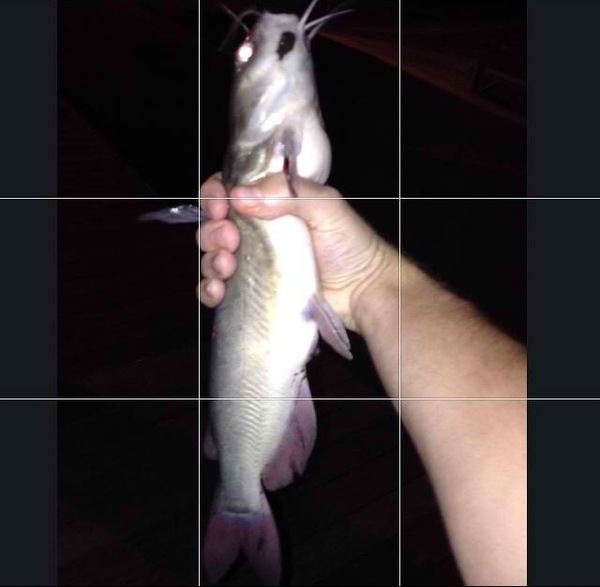 A photo of bladd96's catch