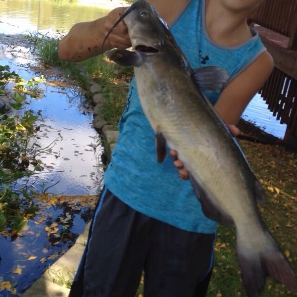A photo of kodermann017's catch