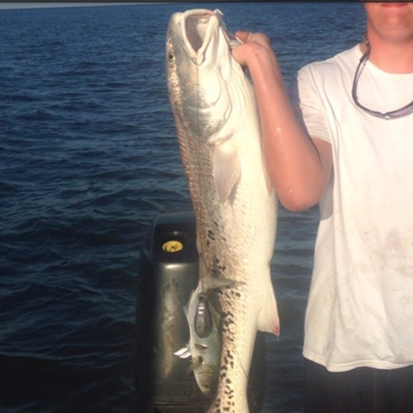 A photo of bennettdelaney's catch