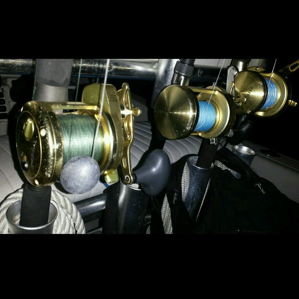 A photo of Team_Stealth's catch