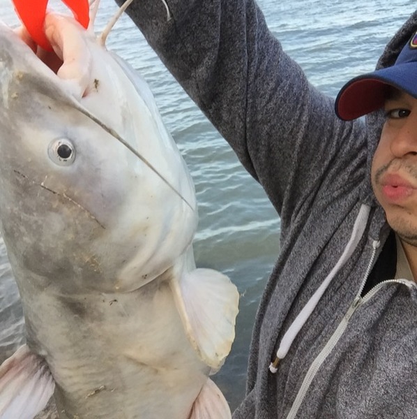 A photo of oski's catch