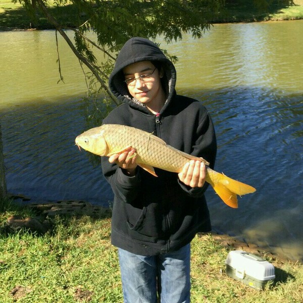 A photo of chunkyball24's catch