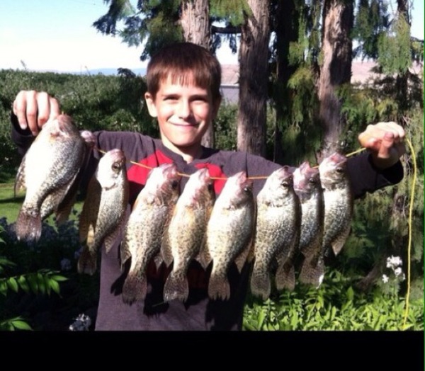 A photo of Kamdenfishscientist's catch