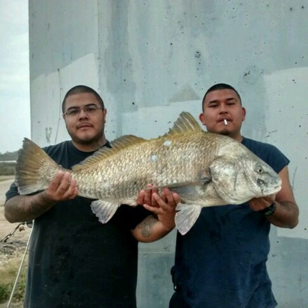 A photo of Ignacio's catch