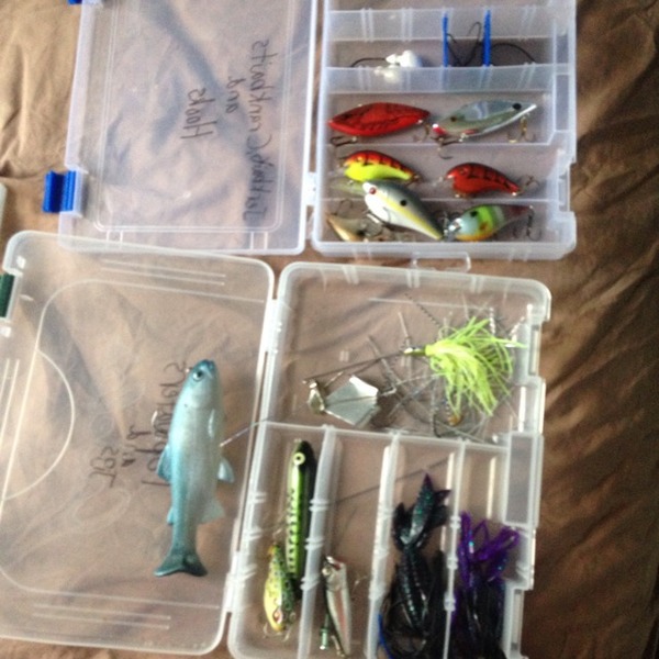 A photo of mickeyferg's catch