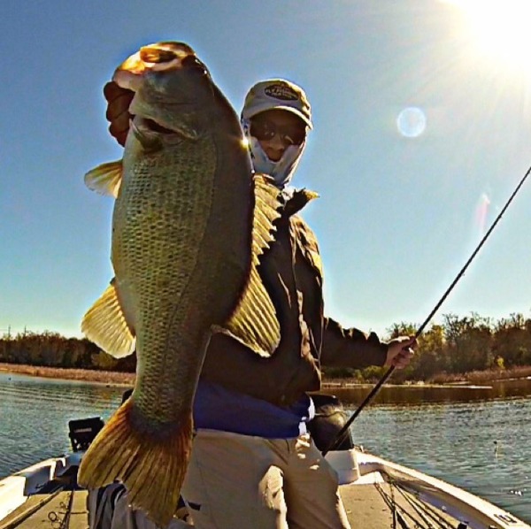 A photo of TylersReelFishing's catch