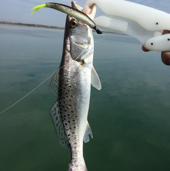 A photo of Alfonso Alfonso's catch