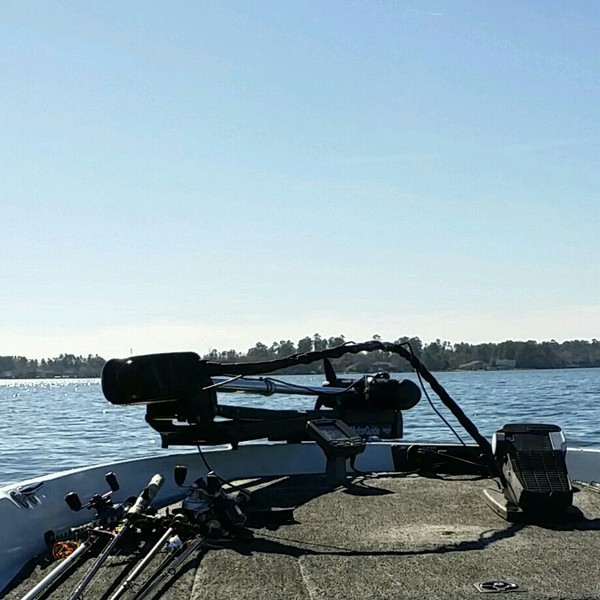 A photo of BassMaster5lbs's catch