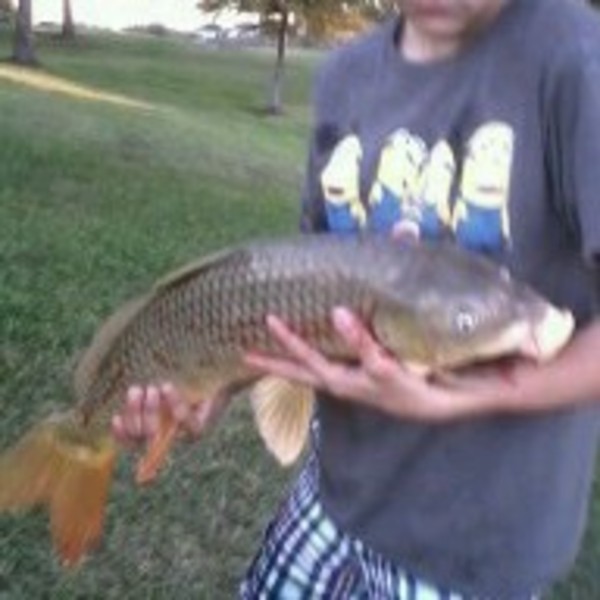 A photo of chunkyball24's catch