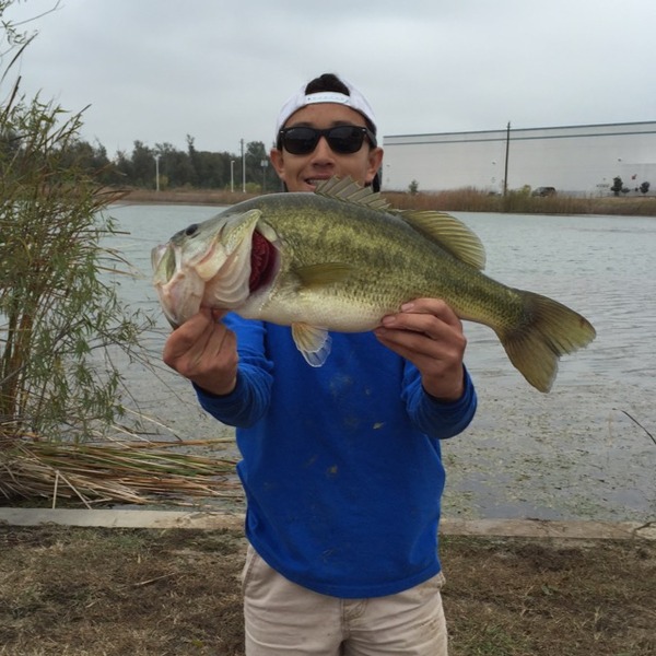 A photo of anthonysandoval's catch